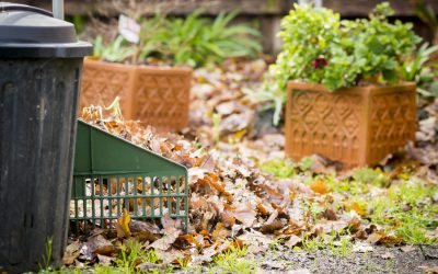 Garden Rubbish Removal Sydney: a service that many people use to get rid of their Garden waste