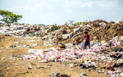 What Are 5 Problems Caused By Waste