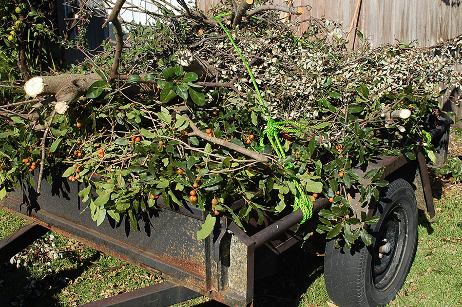 Garden Green Waste Removal Sydney